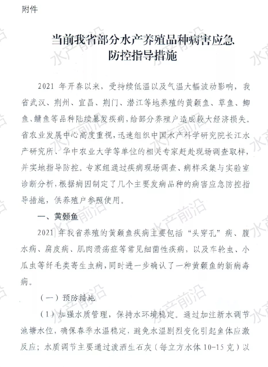 maritechchina.com