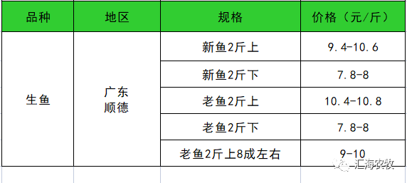 maritechchina.com