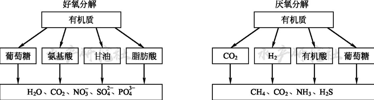 www.maritechchina.com